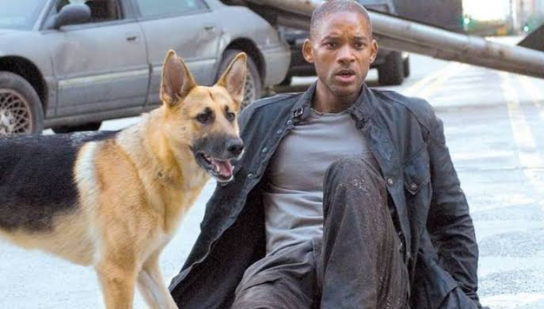 Will Smith’s I Am Legend 2 Is In Works