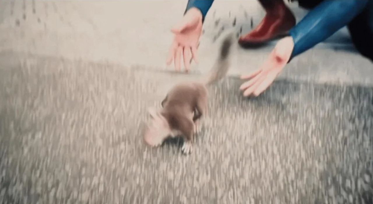 James Gunn defends Superman’s squirrel scene