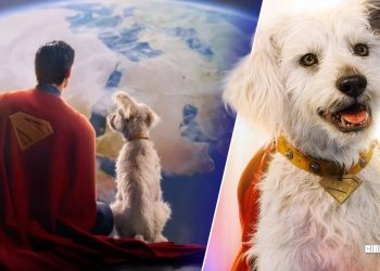 Superman’s Beloved Dog Krypto