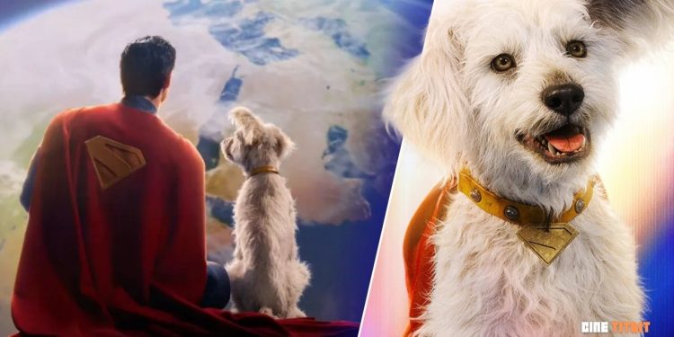 Superman’s Beloved Dog Krypto