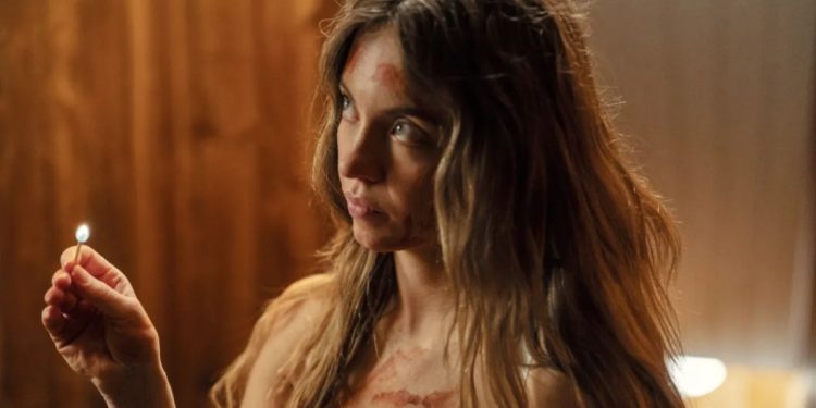 Sydney Sweeney’s Career Hits New Peak as ‘The Housemaid’ Sequel announced